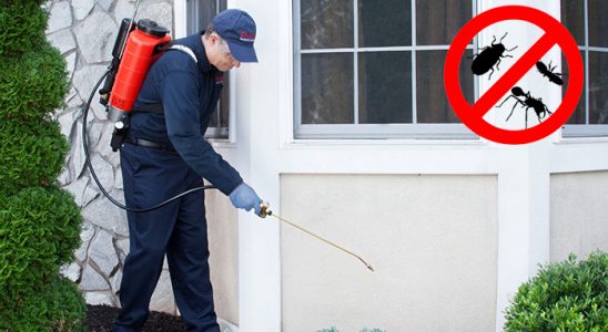 Ilgaz Akrep İlaçlama böcek ilaçlama ve haşere kontrolü — ilaclama-tr.com